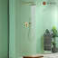 Robinet de douche Calder avec valve brute-61901569