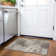  Cerrito Area Rug