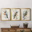 Tree Toppers I - Ensemble de 3 peintures sur toile encadrées-1031297092-1031297113