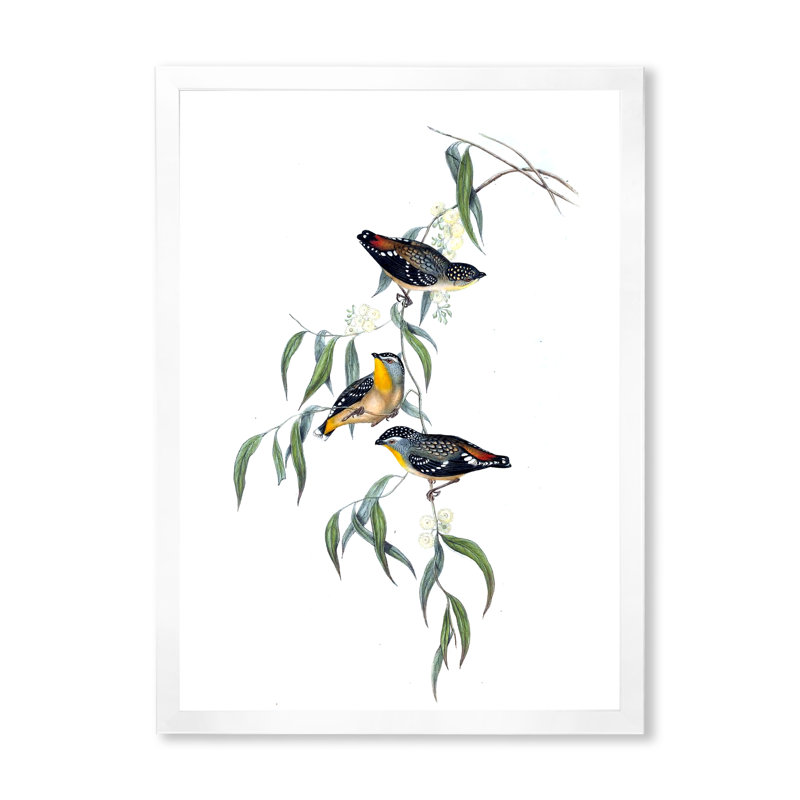 Vie d'oiseau rétro III - peinture sur toile, H 20 po x l 12 po x P 1po, Cadre photo blanc