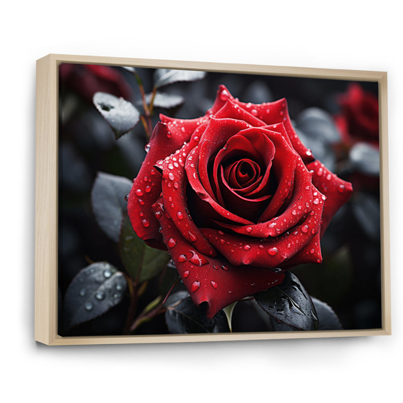 «Atthew Water Drops on Red Rose Majesty II», reproduction, H 24 po x l 32 po x P 1 po, Cadre naturel flottant