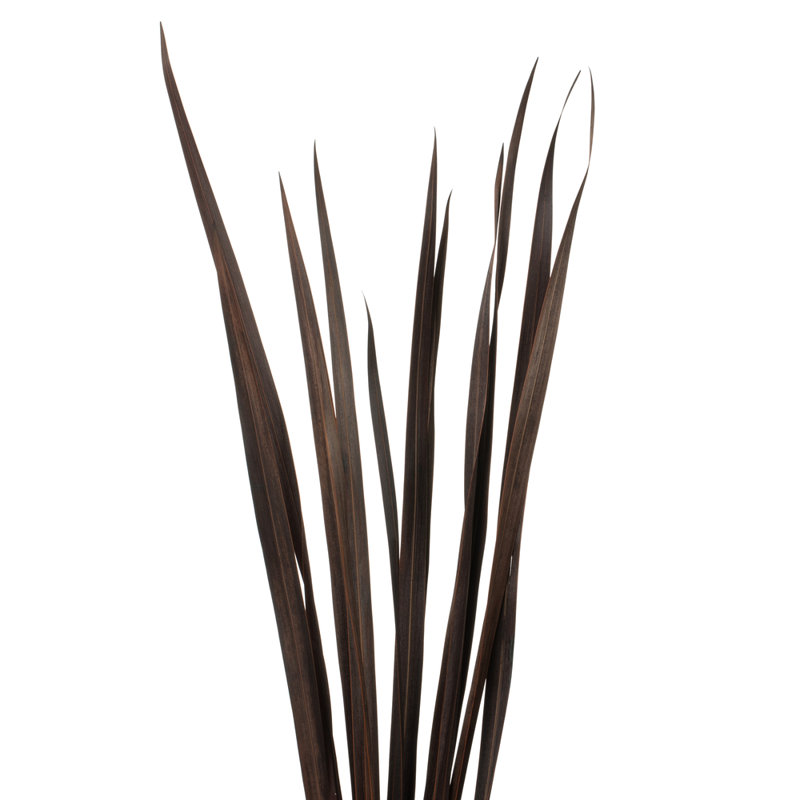 18'' Grass, Brown