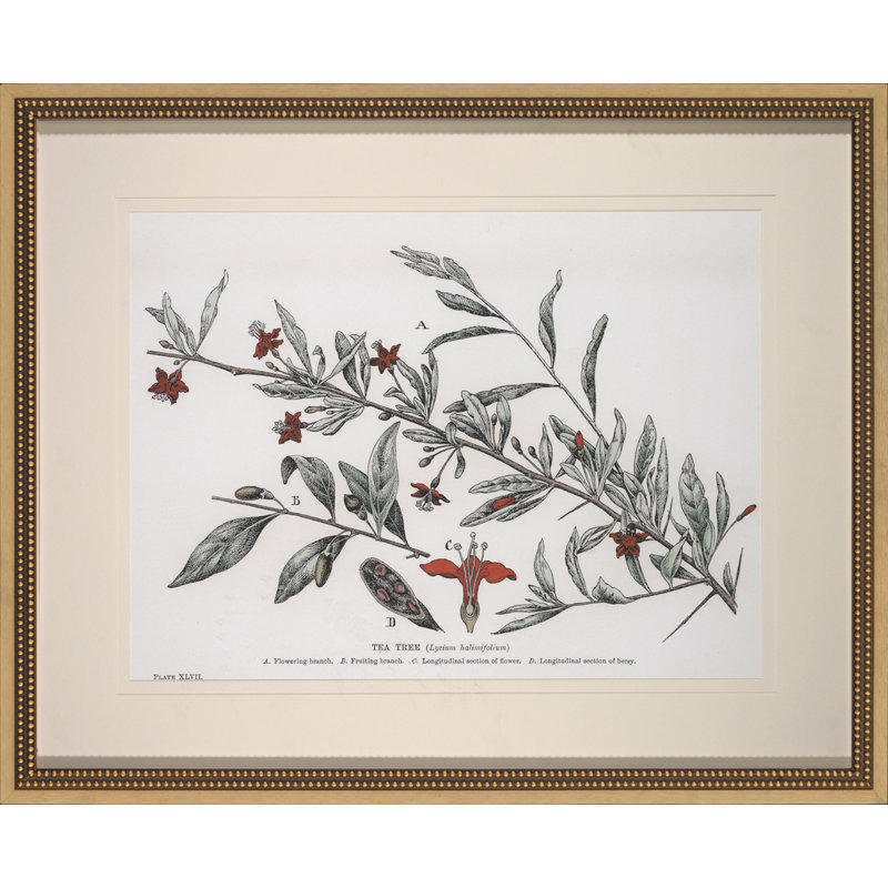 Tea Tree Print