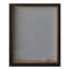 Intrepid Framed Painting