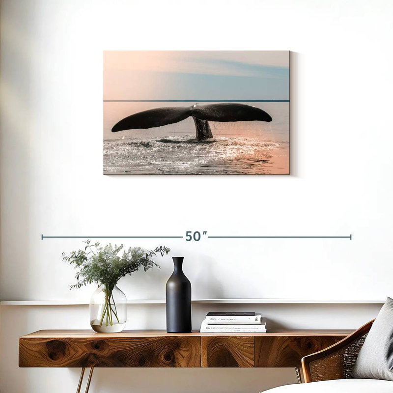 Patagonian Whale Tail, H 20 po x l 30 po