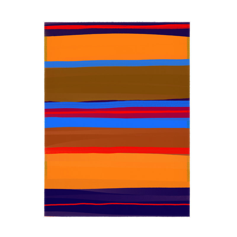 Art sur toile bolologique Sean Parnell 2, H 24 po x l 32 po