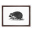 Hedgehog Illustration - Picture Frame Art Print-55641519-55641517