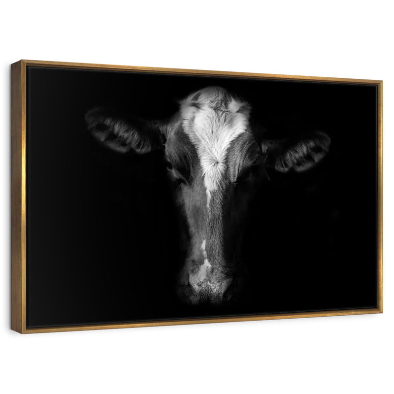 Visage de vache monochrome, Cadre flottant doré, 13 po x 9 po