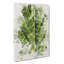 Leaf Pathways - Wrapped Canvas-56633642