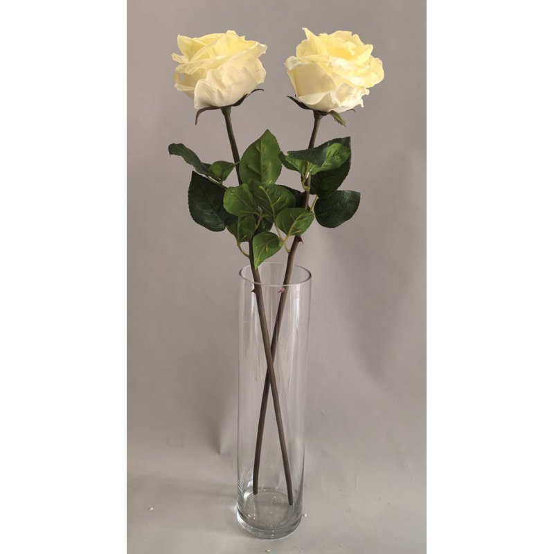 TIGE DE ROSE 27 po