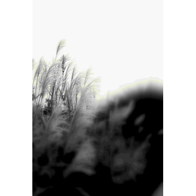 " Photography/Landscape 181 " by DAG, Inc