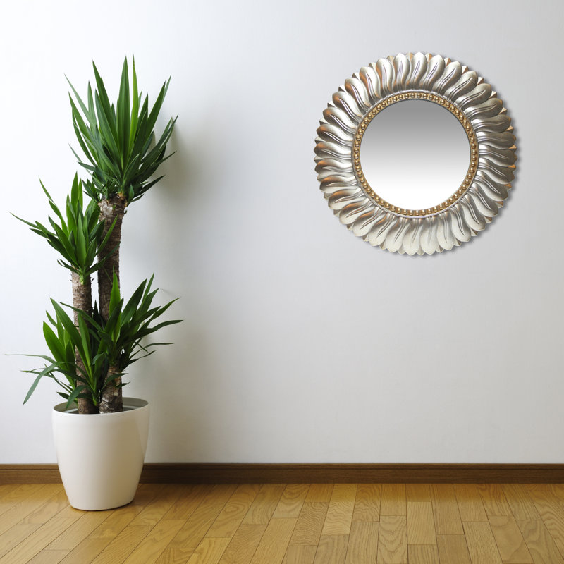 Chappory Mirror Round Plastic Wall Mirror 21.5 Inches, Silver/Gold
