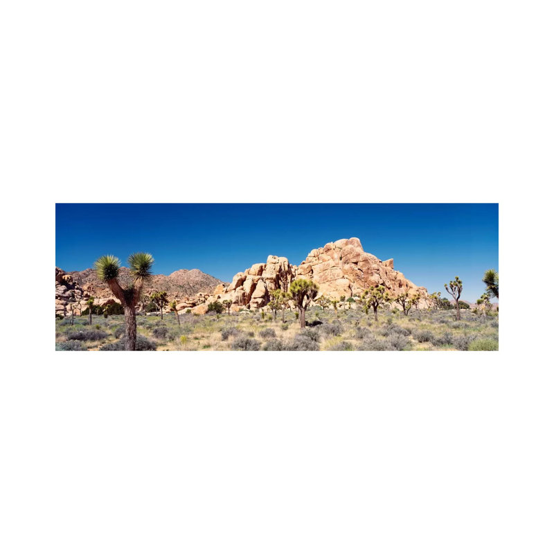 Rock Formation, Joshua Tree National Park, California, USA - Wrapped Canvas Panoramic Print