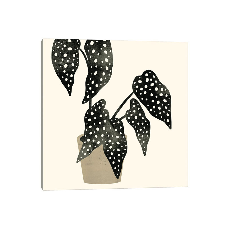 Plantling III by Victoria Barnes - Wrapped Canvas Painting, 30.48 cm H x 30.48 cm W