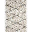 Andice Shaggy Rug in Black/White-1842939310