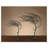 2 Piece Windy Woods Brown Bronzed Metal Tree Sculptures