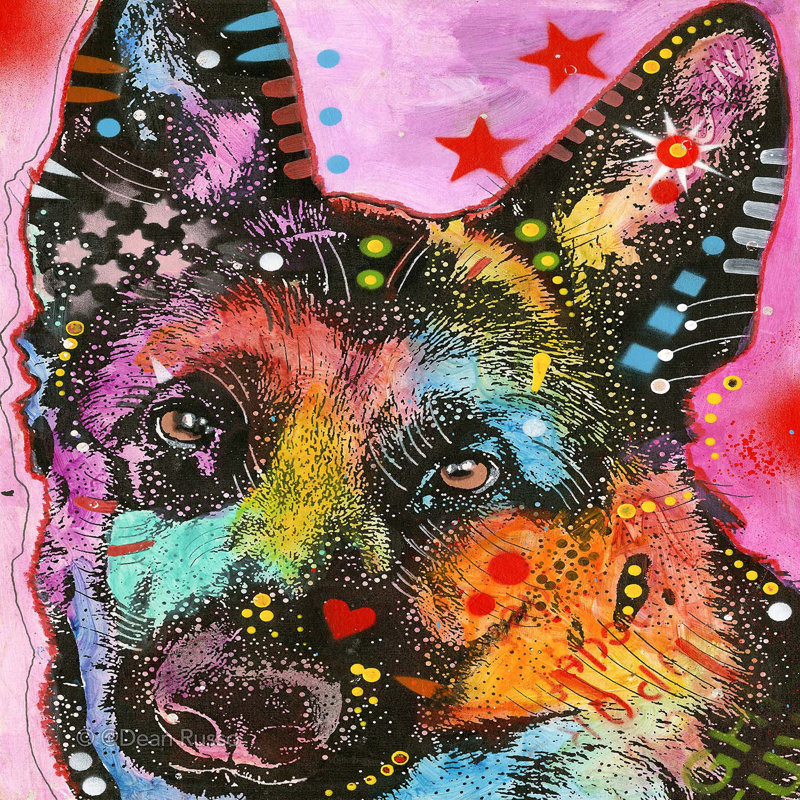 Ensemble de housse de couette DiaNoche en microfibre par Dean Russo - Berger allemand 25