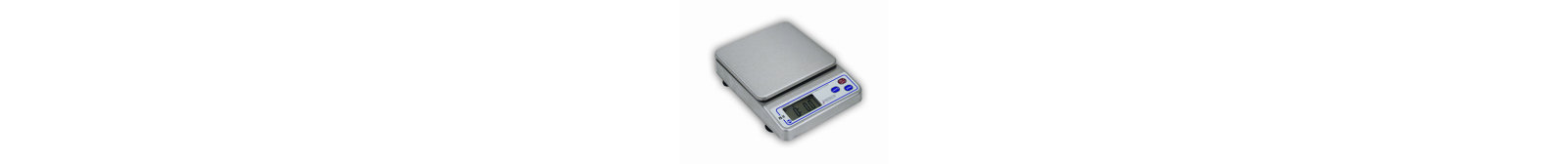 Detecto Digital Scale
