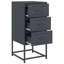 Raddatz 36cm W Steel Bedside Table-1912697033-1936278264