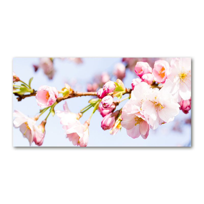 Cherry Blossoms - Wrapped Canvas Print