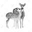 Fawns Love - Toile monochrome | Art animalier pour chambre à coucher