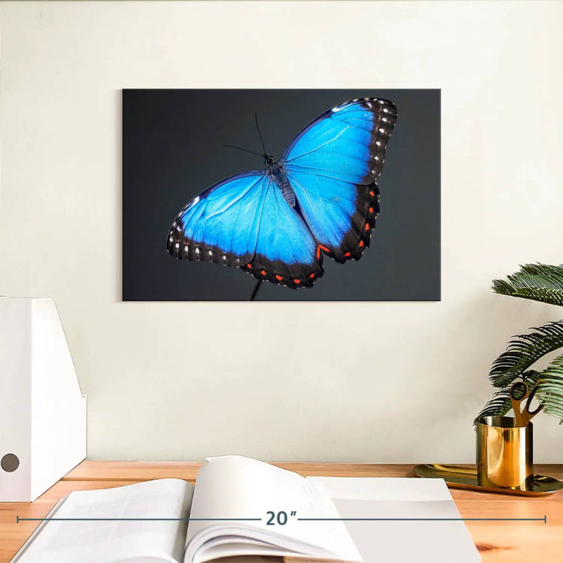 Morpho Blue Butterfly, 8" H x 12" W