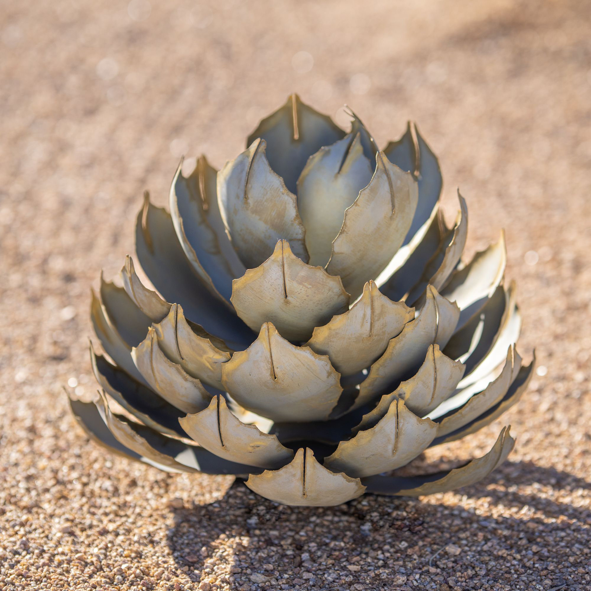 Fish Hook Barrel Cactus (Medium) - Desert Steel - Touch of Modern