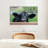 Brampt Nosy Ranch Cow-107707826