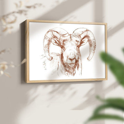 Big Horn Sheep II - Reproduction encadrée - Restickable