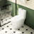 White 1.1/1.6 Ceramic Toilet, Elongated, Comfortable, Soft Close Seat, & , T036wt , White, Comfort Height,