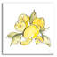 «Lemon Still Life III» par Chris Paschke-1807797478