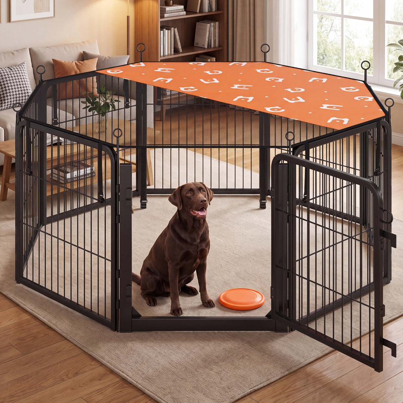 Chenils et enclos pour chiens
