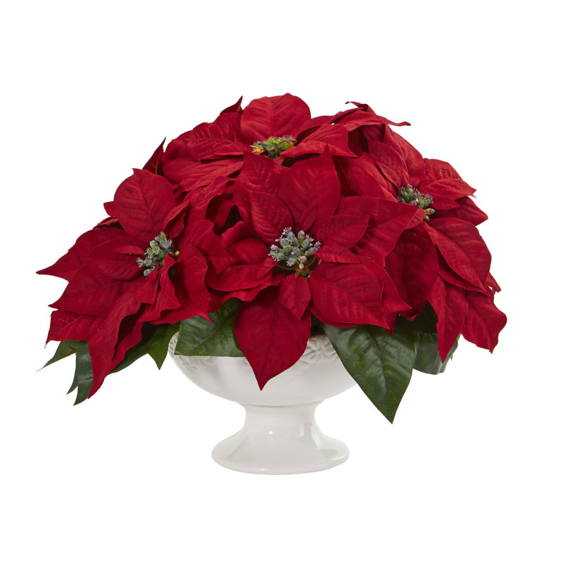 Arrangement floral poinsettia dans un vase