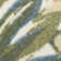 Clemencio 2'8" x 4' Ivory Green Modern Rug
