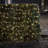 240 Light Mini Light Chain-12557180