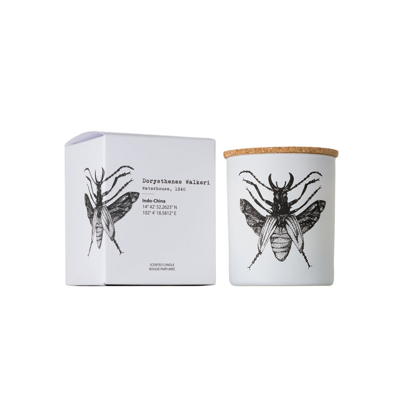 Bougie dans un bocal x 2,95 po, 6,7 oz. Pot