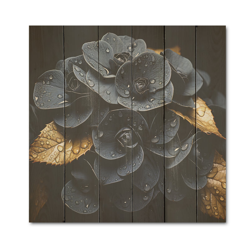 «Noir Allure Hydrangea I», art mural sur bois de pin naturel, H 15 po x l 15 po
