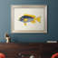 «Tropical Fish Collection V», reproduction sur toile encadrée-2133811775