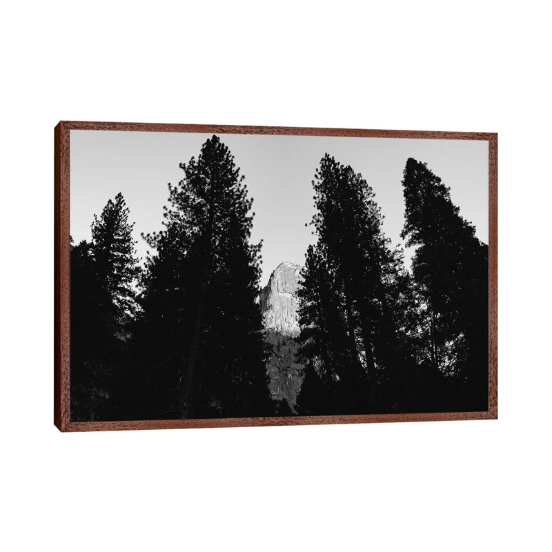 Yosemite National Park VII 1 Piece Wall Art on Canvas, 66.04cm H x 101.6cm W x 3.81cm D, Classic Brown Wood Framed
