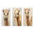 Minimalism Beige Camel-1993231908-1993231907