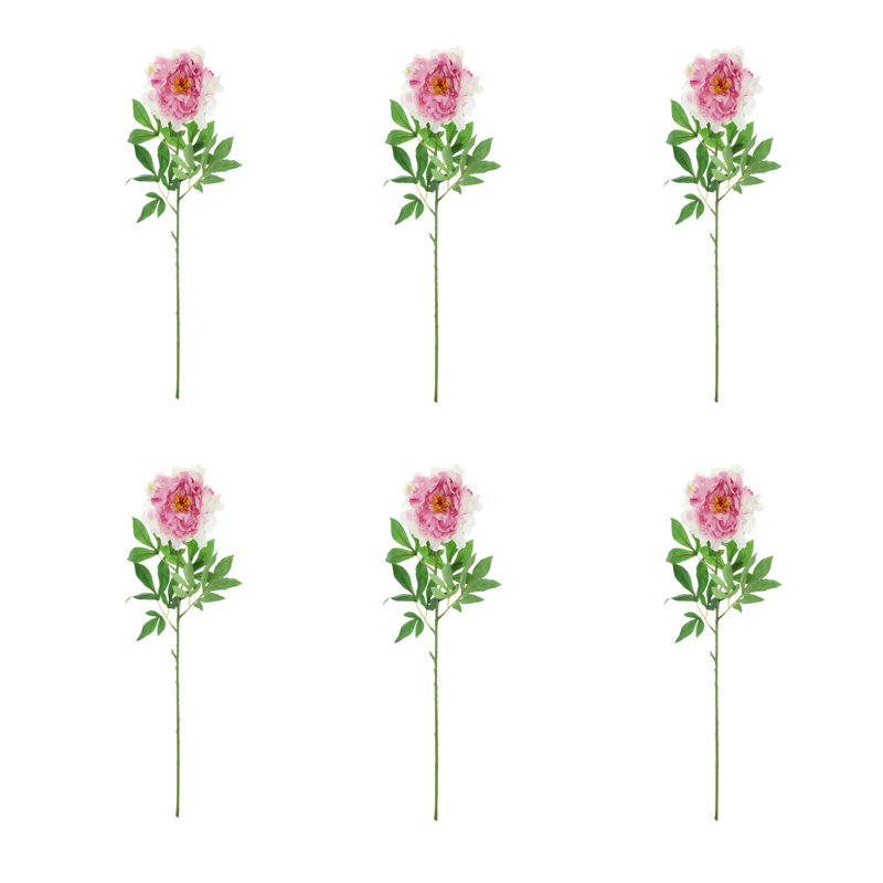 Fausse tige de pivoine