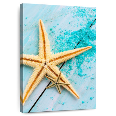 Starfish pair Aletra