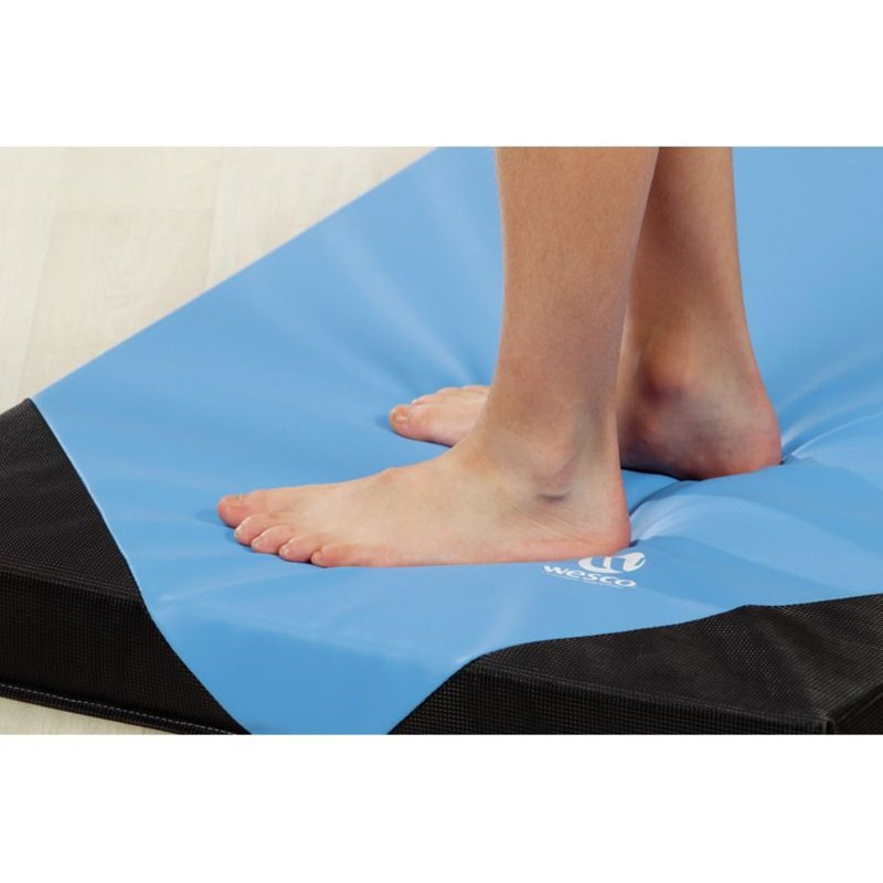 Tapis d'atterrissage L: Th: 3 po, Bleu, H 3 po x l 48 po x P 24 po