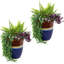 Capteur de fleurs rondes en céramique 11,5 po x 11,5 po x 14 po Captivating Vista - Beachcomber-367576328-367576343