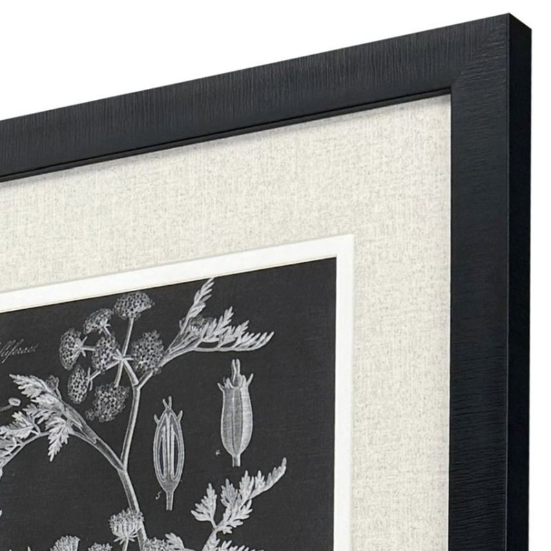Mono Botanicals I S/2 Print by Libby Langdon Paragon