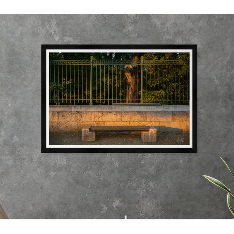 National Garden Stroll Print by Tim Klein