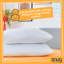 Snug Brilliantly Bouncy Pillow Pair