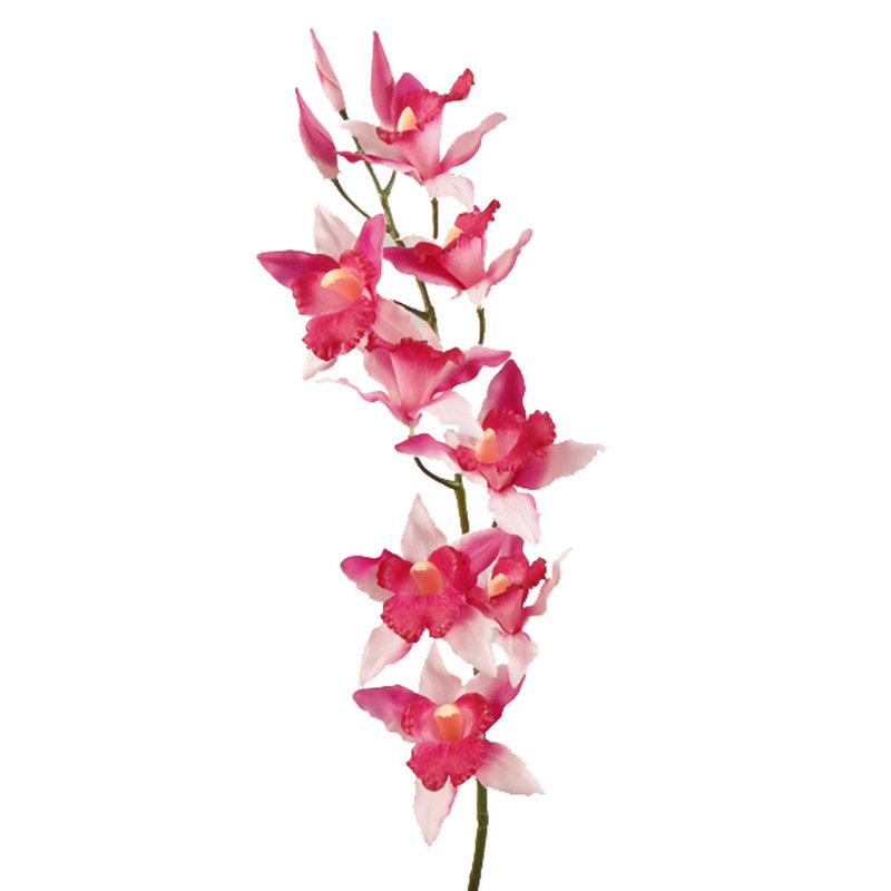 Orchid Arrangement, Pink
