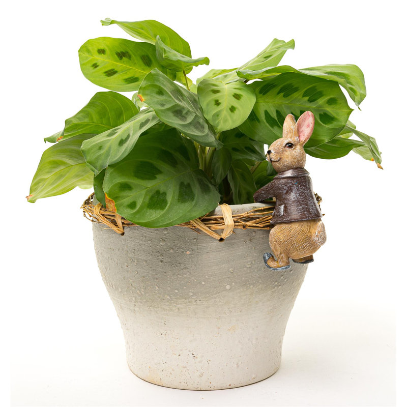 Isam UV Resistant Stone Garden Statue