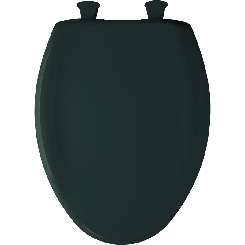 Elongated Toilet Seat and Lid, Teal